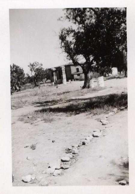 Olive Grove owner's home where he kept a close eye on his pretty daughter